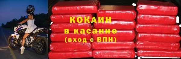 индика Беломорск