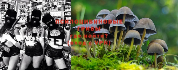 дживик Белокуриха