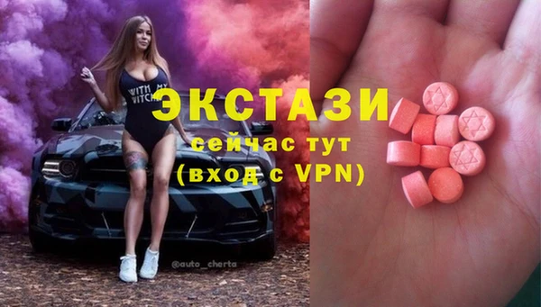 индика Беломорск