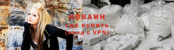индика Беломорск